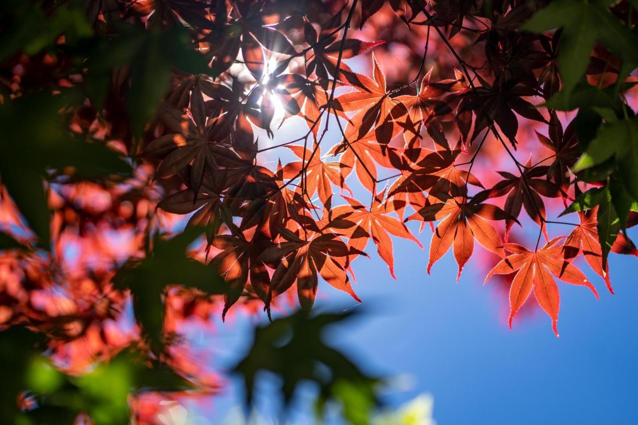 清境英格曼花園民宿 Ren'ai Esterno foto